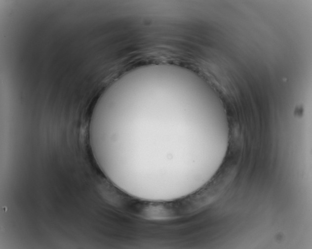 X0000103270177200808291115