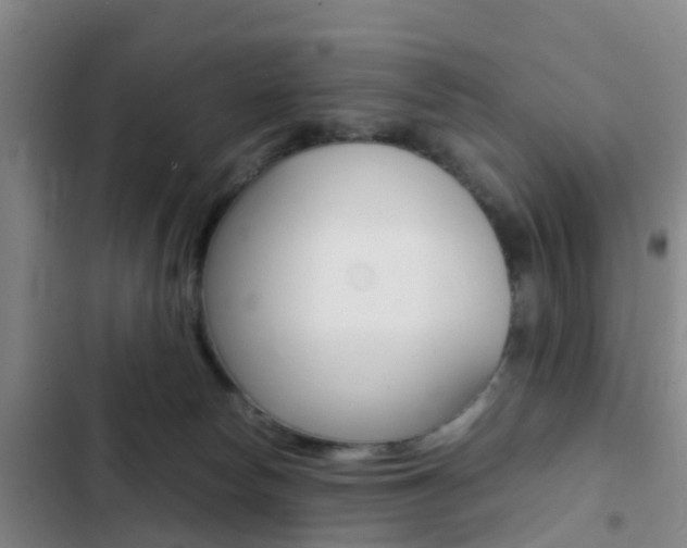 X0000103270178200808291115