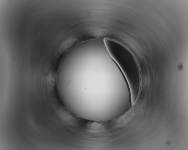 X0000103270180200808291115