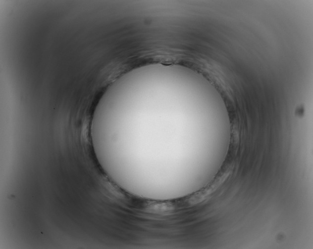 X0000103270185200808291115