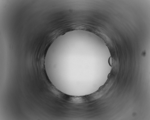 X0000103270189200808291115