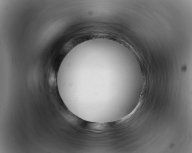 X0000103270191200808291115