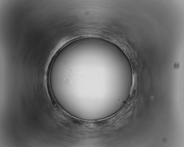 X0000103270195200808291115