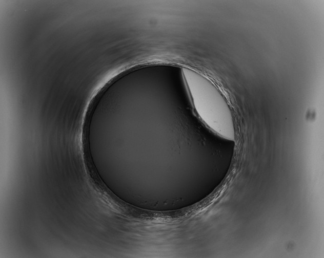 X0000103270196200808291115