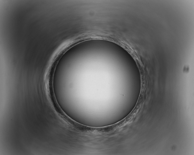 X0000103270197200808291115