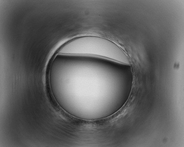X0000103270200200808291115