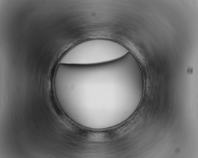X0000103270202200808291115