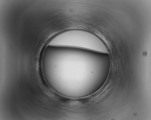 X0000103270203200808291115