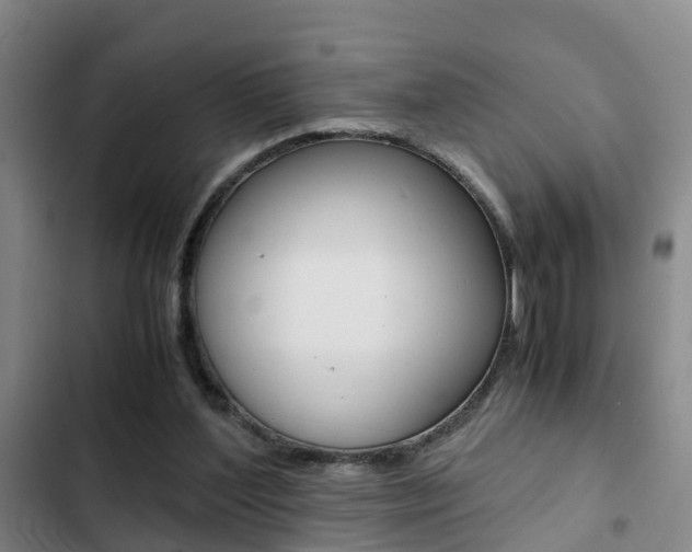 X0000103270204200808291115