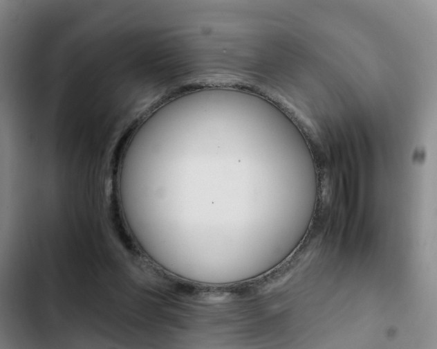 X0000103270206200808291115