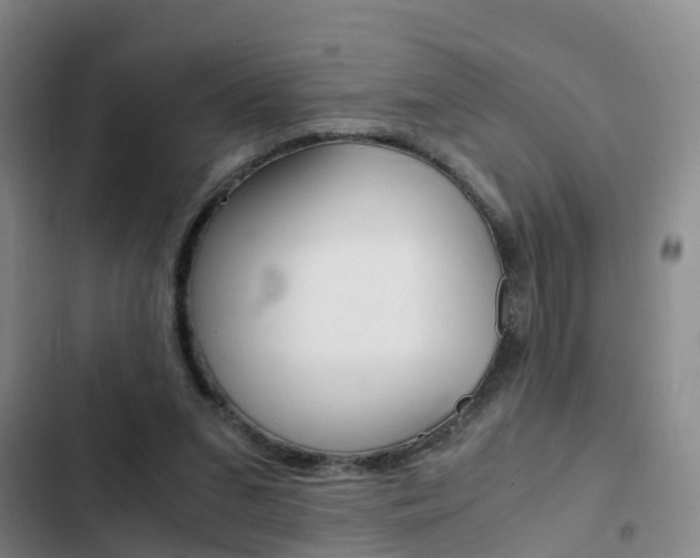 X0000103270207200808291115