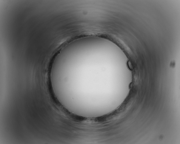 X0000103270211200808291114