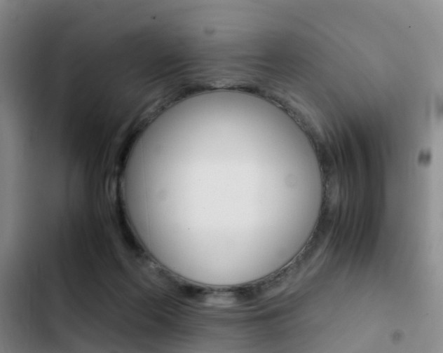 X0000103270214200808291114