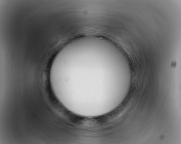 X0000103270215200808291114