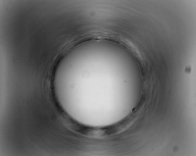 X0000103270217200808291114