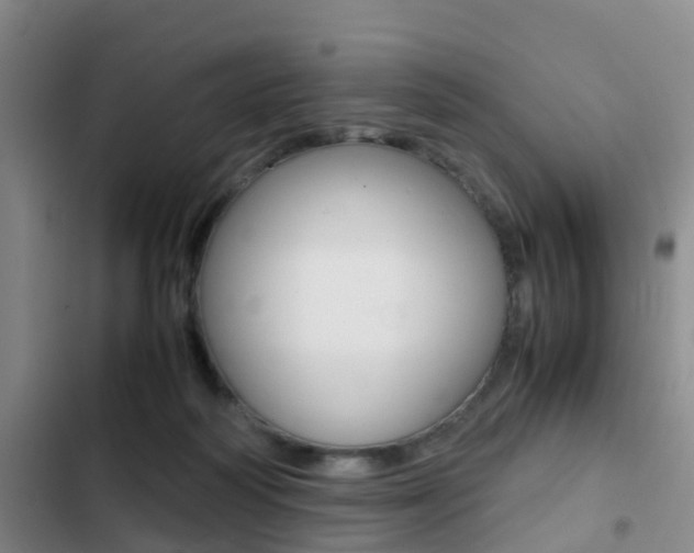 X0000103270218200808291114