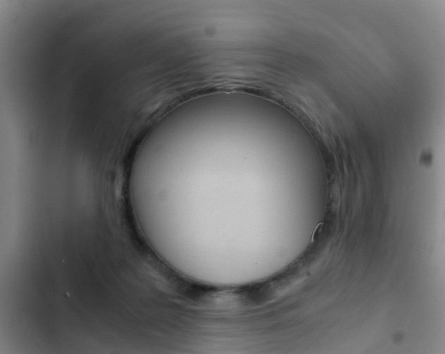 X0000103270219200808291114