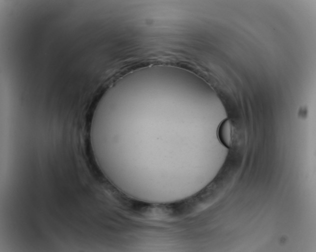 X0000103270223200808291114