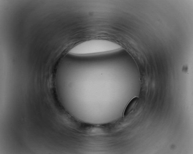 X0000103270224200808291114