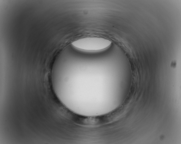 X0000103270225200808291114