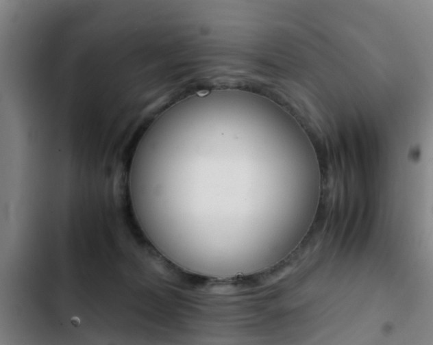 X0000103270228200808291114