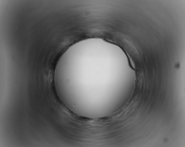 X0000103270232200808291114