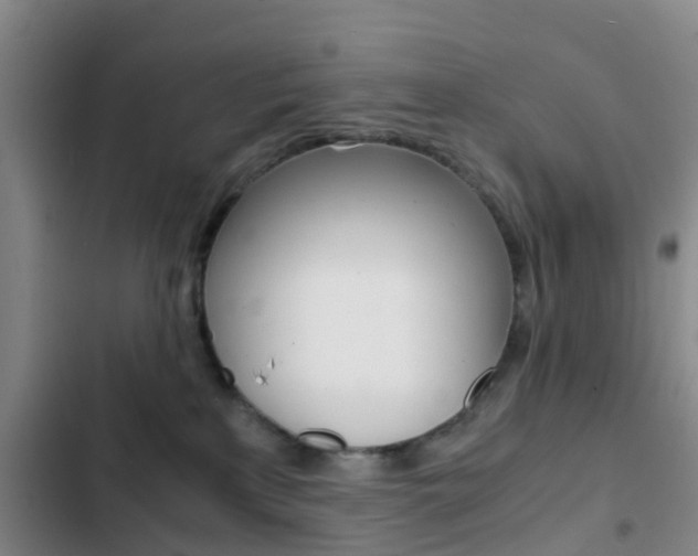 X0000103270233200808291114