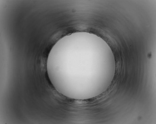 X0000103270234200808291114