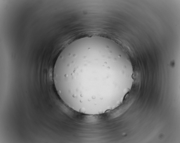 X0000103270238200808291114