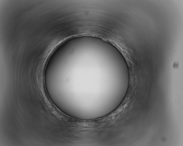 X0000103270241200808291113