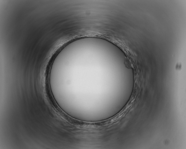 X0000103270242200808291113