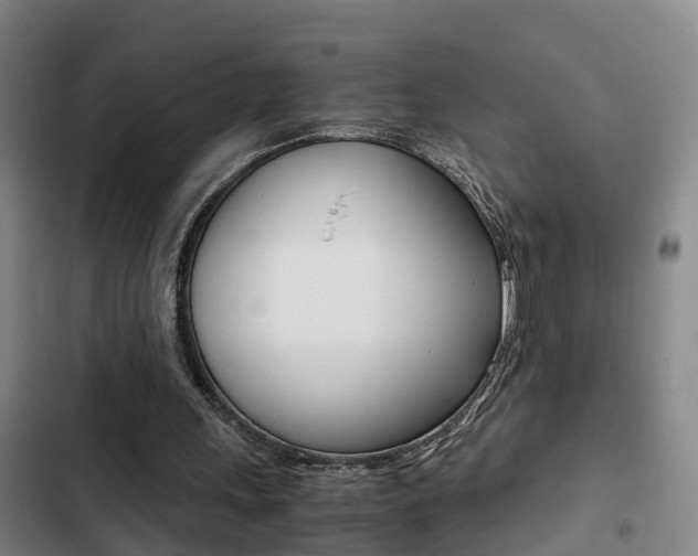 X0000103270243200808291113
