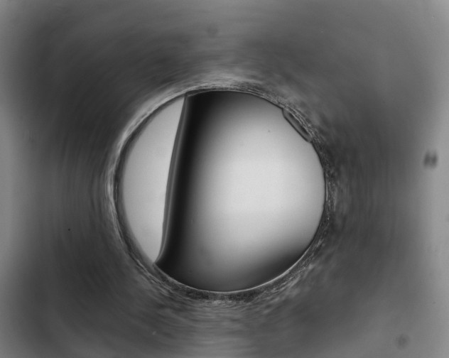 X0000103270244200808291113