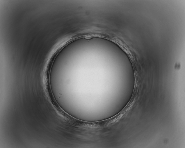 X0000103270245200808291113