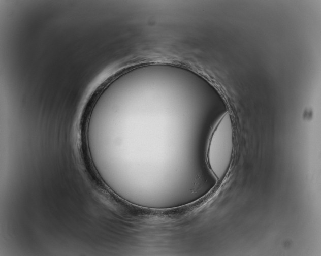 X0000103270246200808291113