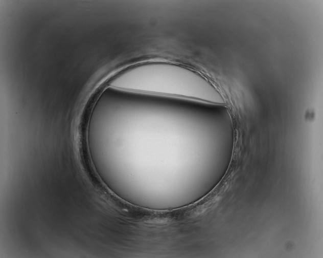 X0000103270247200808291114