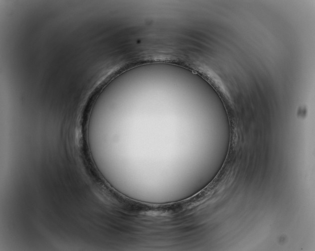 X0000103270251200808291114