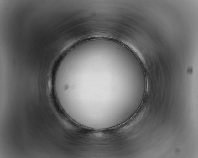 X0000103270253200808291114