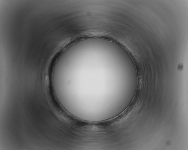 X0000103270254200808291114