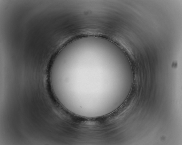 X0000103270255200808291114
