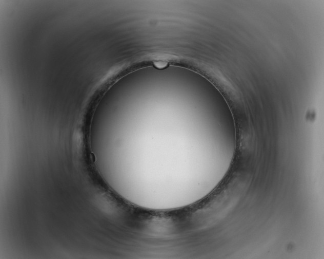 X0000103270256200808291114