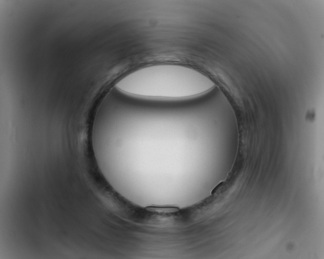 X0000103270260200808291114