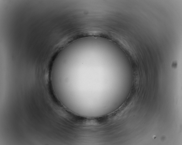 X0000103270262200808291114