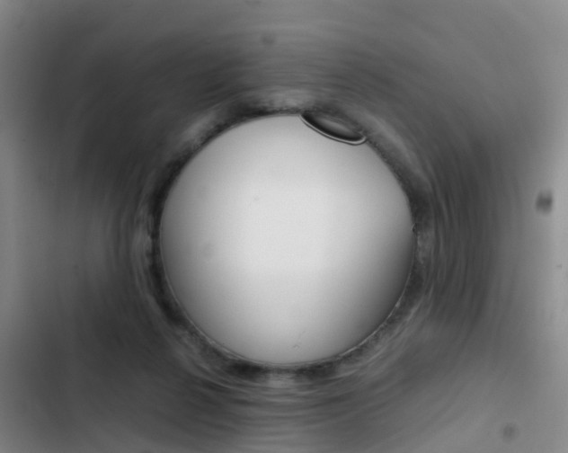 X0000103270264200808291114