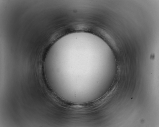 X0000103270265200808291114