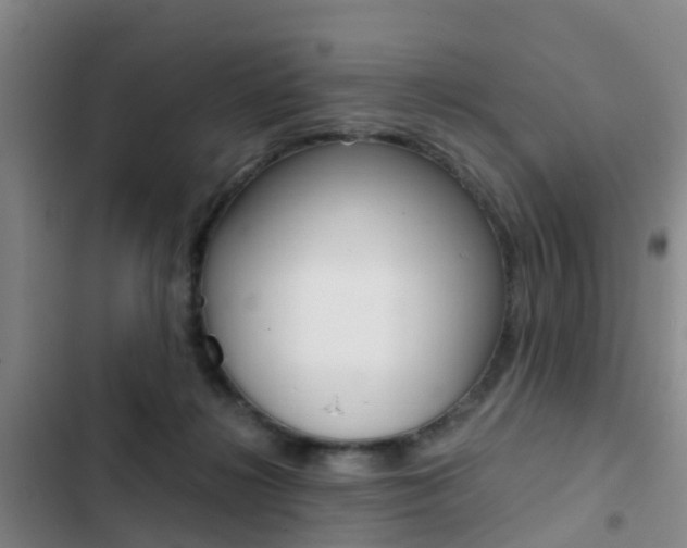 X0000103270268200808291114