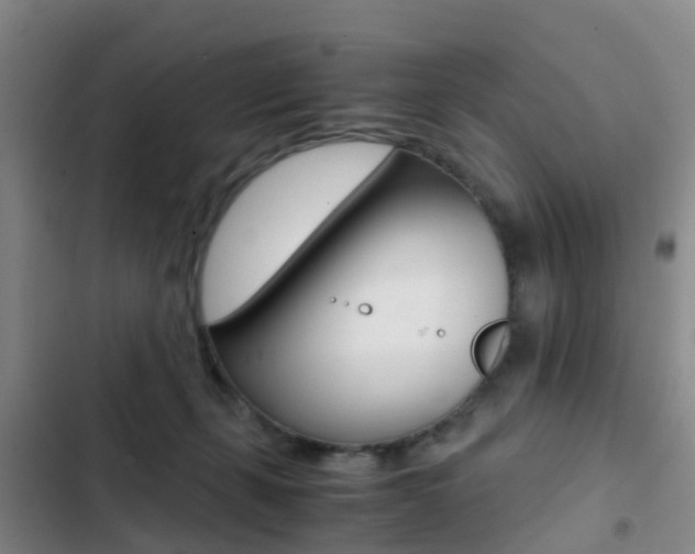 X0000103270271200808291114