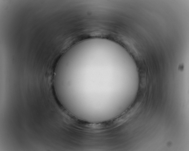 X0000103270273200808291114