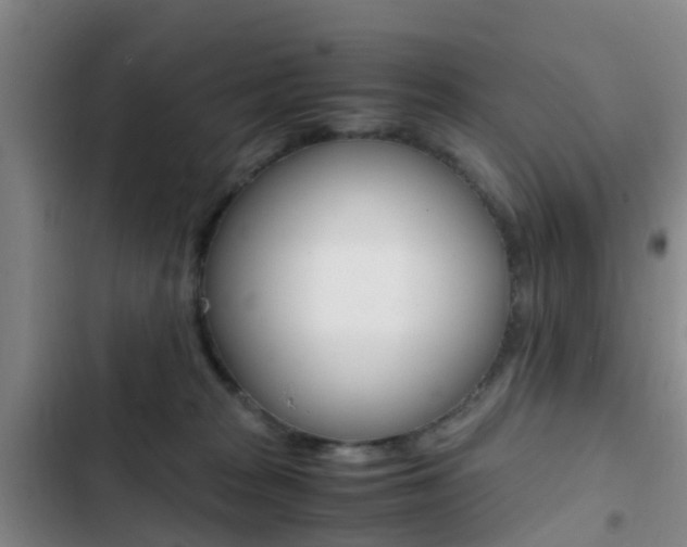 X0000103270277200808291114