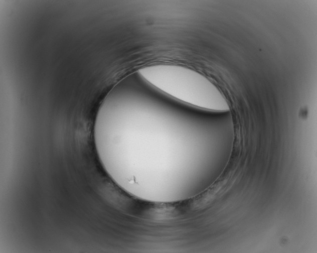X0000103270278200808291114